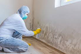 Best Emergency Mold Remediation  in Pepperdine University, CA